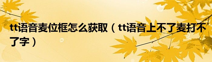 tt語音麥位框怎么獲?。╰t語音上不了麥打不了字）