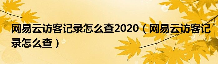 網(wǎng)易云訪客記錄怎么查2020（網(wǎng)易云訪客記錄怎么查）