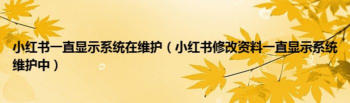 小紅書一直顯示系統(tǒng)在維護（小紅書修改資料一直顯示系統(tǒng)維護中）