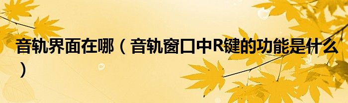 音軌界面在哪（音軌窗口中R鍵的功能是什么）