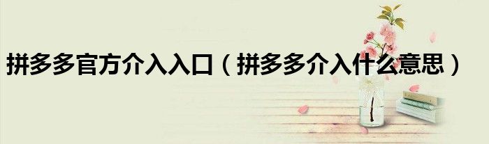 拼多多官方介入入口（拼多多介入什么意思）