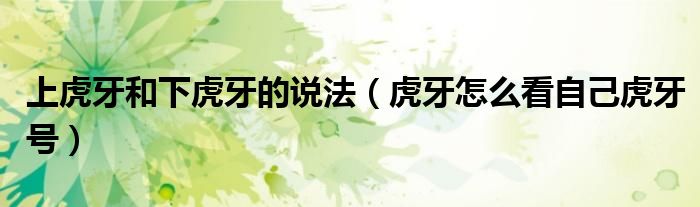 上虎牙和下虎牙的說(shuō)法（虎牙怎么看自己虎牙號(hào)）
