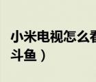小米電視怎么看斗魚(yú)直播（小米電視怎么下載斗魚(yú)）