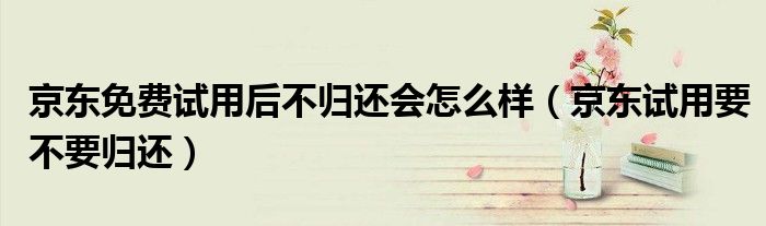 京東免費(fèi)試用后不歸還會怎么樣（京東試用要不要?dú)w還）