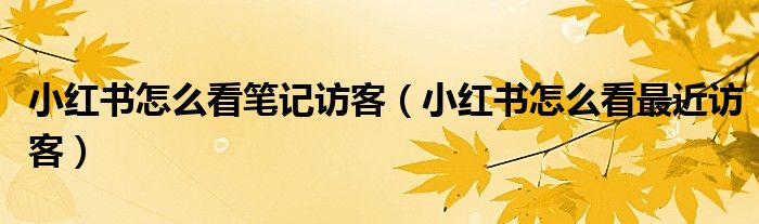 小紅書怎么看筆記訪客（小紅書怎么看最近訪客）