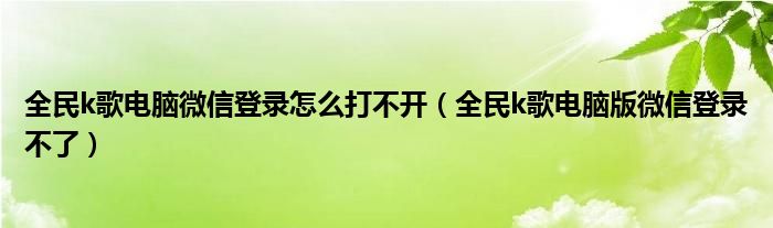全民k歌電腦微信登錄怎么打不開(kāi)（全民k歌電腦版微信登錄不了）