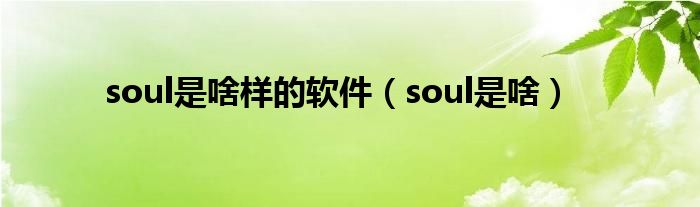 soul是啥樣的軟件（soul是啥）