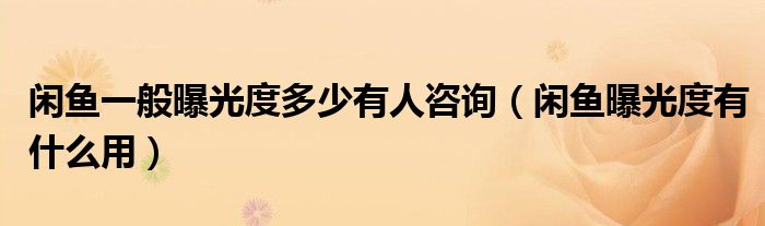 閑魚一般曝光度多少有人咨詢（閑魚曝光度有什么用）