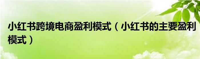 小紅書跨境電商盈利模式（小紅書的主要盈利模式）