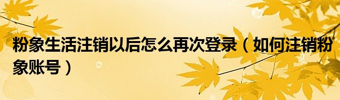 粉象生活注銷以后怎么再次登錄（如何注銷粉象賬號(hào)）