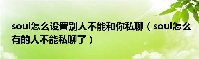 soul怎么設(shè)置別人不能和你私聊（soul怎么有的人不能私聊了）