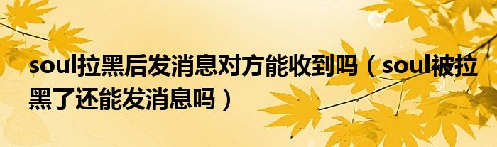 soul拉黑后發(fā)消息對(duì)方能收到嗎（soul被拉黑了還能發(fā)消息嗎）