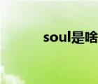 soul是啥樣的軟件（soul是啥）