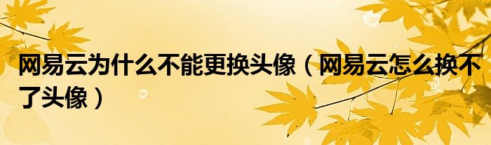 網(wǎng)易云為什么不能更換頭像（網(wǎng)易云怎么換不了頭像）