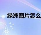 綠洲圖片怎么下載（綠洲圖片怎么下載）
