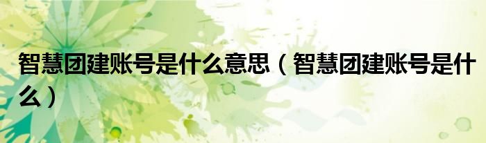 智慧團(tuán)建賬號(hào)是什么意思（智慧團(tuán)建賬號(hào)是什么）