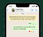WhatsApp現(xiàn)在終于支持表情符號反應(yīng)