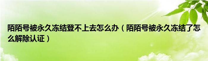 陌陌號被永久凍結(jié)登不上去怎么辦（陌陌號被永久凍結(jié)了怎么解除認證）