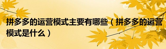 拼多多的運(yùn)營(yíng)模式主要有哪些（拼多多的運(yùn)營(yíng)模式是什么）