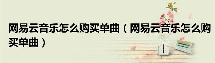 網(wǎng)易云音樂(lè)怎么購(gòu)買單曲（網(wǎng)易云音樂(lè)怎么購(gòu)買單曲）