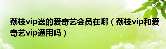 荔枝vip送的愛奇藝會員在哪（荔枝vip和愛奇藝vip通用嗎）