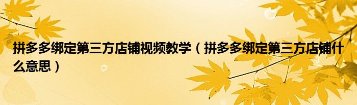 拼多多綁定第三方店鋪視頻教學（拼多多綁定第三方店鋪什么意思）