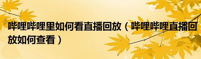 嗶哩嗶哩里如何看直播回放（嗶哩嗶哩直播回放如何查看）