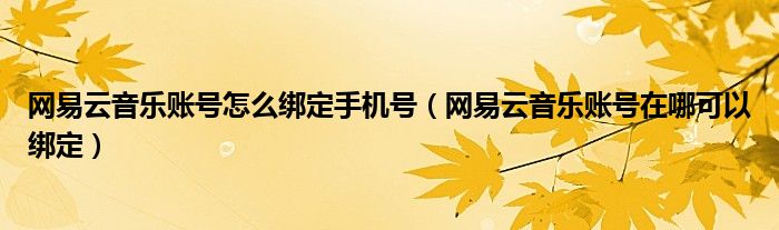 網(wǎng)易云音樂賬號怎么綁定手機(jī)號（網(wǎng)易云音樂賬號在哪可以綁定）