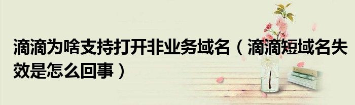 滴滴為啥支持打開非業(yè)務(wù)域名（滴滴短域名失效是怎么回事）