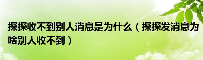 探探收不到別人消息是為什么（探探發(fā)消息為啥別人收不到）
