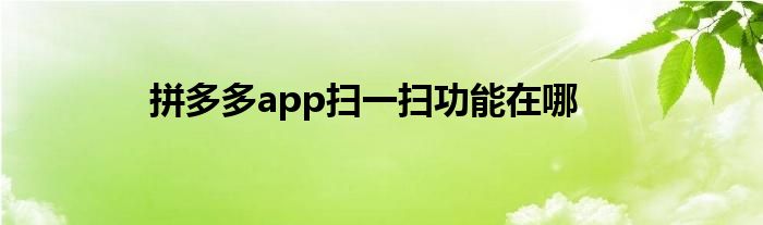 拼多多app掃一掃功能在哪