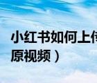 小紅書如何上傳自己的視頻（小紅書怎么上傳原視頻）