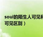 soul的陌生人可見(jiàn)和廣場(chǎng)可見(jiàn)區(qū)別（soul陌生人可見(jiàn)和廣場(chǎng)可見(jiàn)區(qū)別）