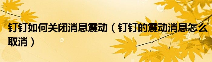 釘釘如何關(guān)閉消息震動(dòng)（釘釘?shù)恼饎?dòng)消息怎么取消）