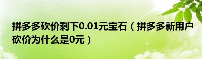 拼多多砍價(jià)剩下0.01元寶石（拼多多新用戶砍價(jià)為什么是0元）