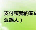 支付寶我的家成員如何踢人（支付寶我的家怎么踢人）