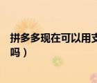 拼多多現(xiàn)在可以用支付寶付款嗎（拼多多可以用支付寶付款嗎）