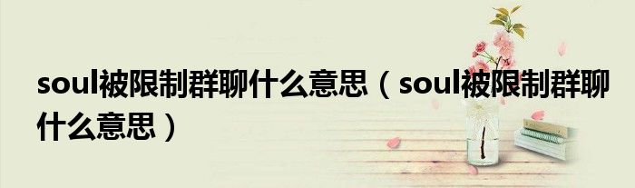 soul被限制群聊什么意思（soul被限制群聊什么意思）