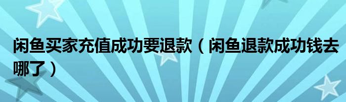 閑魚(yú)買(mǎi)家充值成功要退款（閑魚(yú)退款成功錢(qián)去哪了）