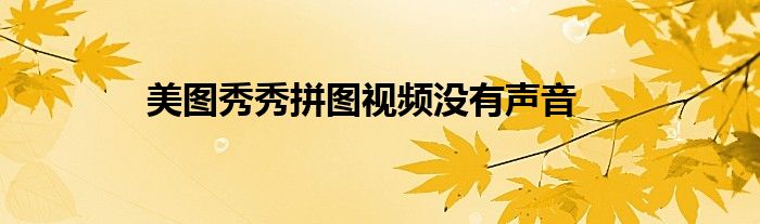 美圖秀秀拼圖視頻沒(méi)有聲音