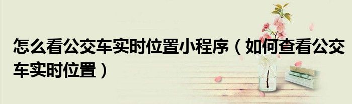 怎么看公交車實(shí)時(shí)位置小程序（如何查看公交車實(shí)時(shí)位置）