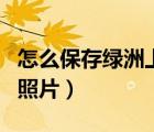 怎么保存綠洲上面的照片（如何保存綠洲里的照片）