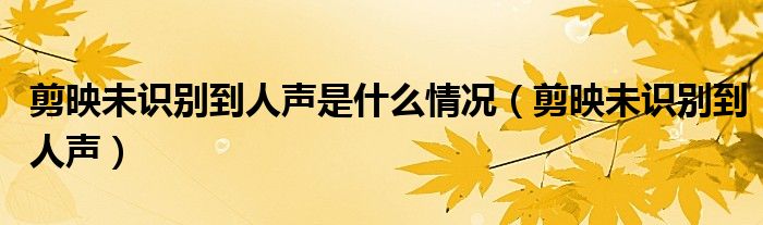 剪映未識別到人聲是什么情況（剪映未識別到人聲）