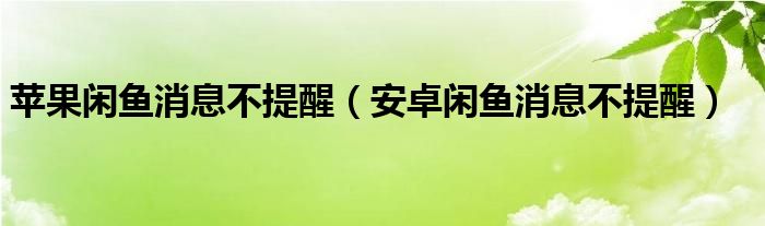 蘋果閑魚消息不提醒（安卓閑魚消息不提醒）