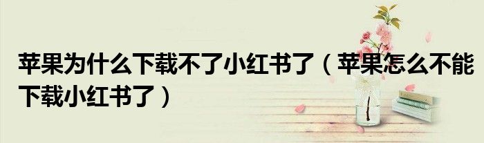 蘋果為什么下載不了小紅書了（蘋果怎么不能下載小紅書了）