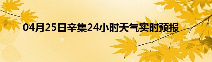 04月25日辛集24小時(shí)天氣實(shí)時(shí)預(yù)報(bào)