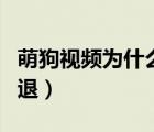 萌狗視頻為什么打不開（萌狗視頻為什么會閃退）