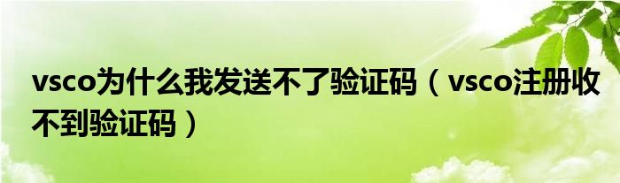 vsco為什么我發(fā)送不了驗證碼（vsco注冊收不到驗證碼）