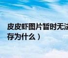 皮皮蝦圖片暫時無法保存怎么打開（皮皮蝦圖片暫時無法保存為什么）