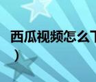 西瓜視頻怎么下載電視劇（西瓜視頻怎么下載）